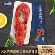京鲜港 熟冻波士顿龙虾400g--450g/只 波龙 即食海鲜