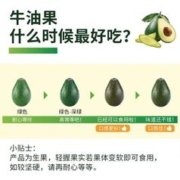绿鲜集 【蜜蜂欢乐社】云南哈斯hass牛油果国产鳄梨非进口新鲜水果