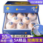 XIANHEHUIYOU 鲜合汇优 山东莱阳秋月梨 精选中果 净重5斤