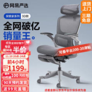 YANXUAN 网易严选 探险家系列 D1 星舰3D腰靠电脑椅 灰色