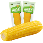 珍谷诱惑 黄糯玉米10支×200g