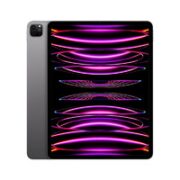 Apple 苹果 ipadpro2022版12.9英寸第六代苹果平板电脑M2芯片 深空灰色 国行标配  128G WiFi版