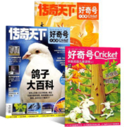 《好奇号杂志》（2023年11月刊，共3册，送双语小册子）券后28元包邮