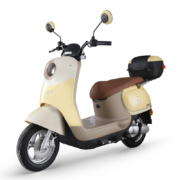 京东百亿补贴：ZUB 五星钻豹 G2 电动车 ZB1200DT-37
