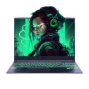 再降价、京东百亿补贴：MECHREVO 机械革命 旷世16 Pro 16英寸 游戏本 i9-12900HX 16G 1T RTX4060 240HZ 2.5K屏