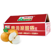 plus会员：京鲜生 青青大地莱阳羊脂秋月梨4.5斤 6-8个梨子礼盒 *3件
