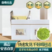 源聞白茶 2023年新茶 安吉白茶原产地新茶绿茶送礼礼盒装 明前特级白茶 100克 * 2罐