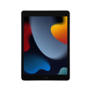 Apple 苹果 iPad 9 2021款 10.2英寸平板电脑 256GB WLAN版 深空灰色
