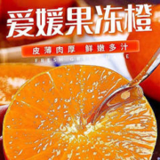 正宗四川爱媛果冻橙现摘桔子橘子新鲜水果当季无核爱媛果冻橙