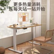 Loctek 乐歌 ES1系列 电动升降电脑桌 1.2m