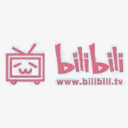 bilibili 哔哩哔哩 大会员年卡 12个月