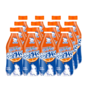 北冰洋饮料桔汁汽水碳酸饮料 280ml*12瓶