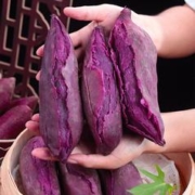 鲜闻果 紫罗兰紫薯 5斤装带箱