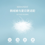 SIDANDA 被芯 2023新品夏季凉感被95白鹅绒夏被羽绒空调被冷感被 新品凉感鹅绒夏被 220*240cm