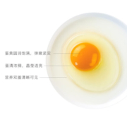 桂青源山鸡蛋鲜鸡蛋无沙门氏菌无菌蛋无抗AA级长白山上礼盒30枚端午节