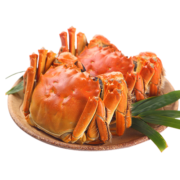 【活蟹】漁家师傅大闸蟹公4.3-4.6两母3.3-3.6两4对8只鲜活螃蟹现货生鲜水产实物礼盒