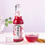 麦序气泡糯米酒杨梅味230mlx1瓶