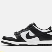20点开始：NIKE 耐克 DUNK LOW (GS) 运动鞋 CW1590-100