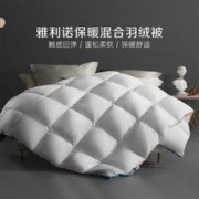 28日0点：BLISS 百丽丝 雅利诺混合羽绒冬被 220cm×240cm