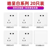 施耐德电气 皓呈系列 开关插座面板套装 20只装