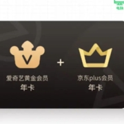 iQIYI 爱奇艺 VIP会员黄金年卡12个月+京东年卡