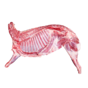 伊民康洋 宁夏滩羊肉  羊肋排4斤