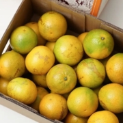 绿鲜森 云南鲜橙子花斑甜橙 8斤装精选果(约29个)
