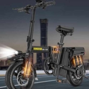 需首单礼金：PALLA 新大洲 新国标折叠电动车 TDT109Z 80km 八重减震 8A
