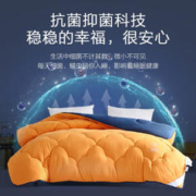 BLISS 百丽丝 吸湿发热抗菌磨毛冬被 橙色 200cm*230cm