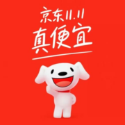 京东百亿补贴 双11限时钜惠 无套路全年最低价开抢