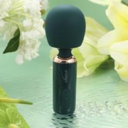 京东PLUS：轻喃 5号AV棒 绿/粉双色可选