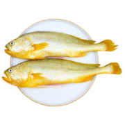 京东百亿补贴：鸿顺 三去黄花鱼 2条装 700g