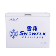 SNOWFLK 雪花 家用冰柜 38单温小冷柜
