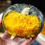 晓筱农场 山东正宗贝贝南瓜4.5-5斤装 板栗味小南瓜 新鲜蔬菜 包邮