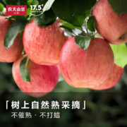 京东百亿补贴：农夫山泉 17.5° 阿克苏苹果 L果径82±4mm 15个装