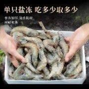 东上御品 虾 青岛大虾17-21cm【虾王20/30规格】 盐冻大虾4斤【推荐单只冻】