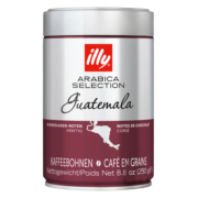 ILLY意利（illy）咖啡豆精选系列（危地马拉/深烘）意大利进口250g