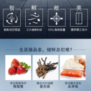 西门子（SIEMENS）630升对开门变频恒鲜冰箱双开门 精准控温 风冷无霜 独立双循环 晨雾灰（KA98NV143C）