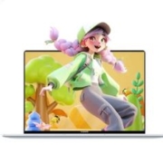 京东百亿补贴：华为 MateBook D14 2023旗舰版轻薄本笔记本电脑