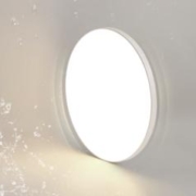 限移动端、京东百亿补贴：AUX 奥克斯 流云系列 LED圆卧灯 24W