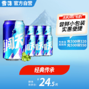 雪花啤酒（Snowbeer） 勇闯天涯 330ml*6听