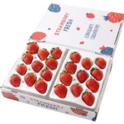 萧鲜生 精品 大凉山红颜99草莓 2盒礼盒装(单盒20粒)*2件