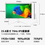 SANC 23.8英寸IPS显示器 75Hz全高清 TUV认证低蓝光 广视角 可壁挂 液晶电脑屏幕N500 3代白色