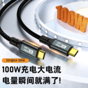 凯宠 USB4数据线 双USB-C口5A公对公PD100W快充线显示器扩展移动硬盘 TYPE-C数据线（苹果15-27W） 1米