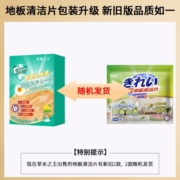 草本之王  地板清洁片强力去污清洁剂木地板大理石保养去污留香拖把清洗 地板清洁片150片（5包）