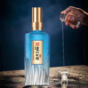 泸州老窖 共赏 500ml*2瓶
