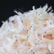 500g 淡干虾皮特级无盐海米虾米