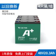 TIANNENG BATTERY 天能电池 A6 电动车铅酸电池 48V20Ah