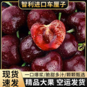 亿鲜夸 预售车厘子智利进口礼盒装 JJ 5斤礼盒