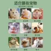 威毕 仓鼠磨牙石零食兔子荷兰猪龙猫磨牙苹果枝饼干零食玩具
